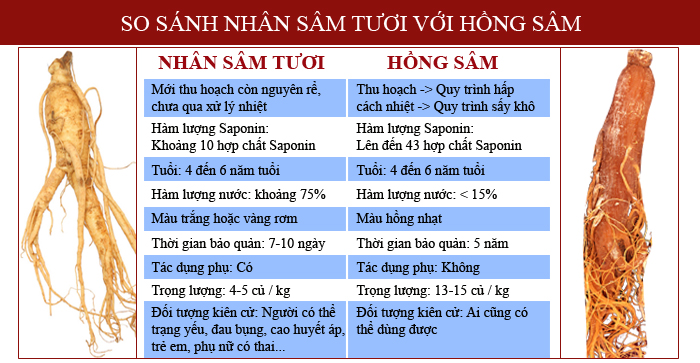 PHÂN BIỆT NHÂN SÂM VÀ HỒNG SÂM HÀN QUỐC